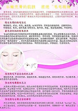 紫色向往圖片