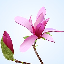 印花矢量圖 植物 花卉 優(yōu)雅植物 色彩 免費素材