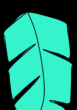 羽毛