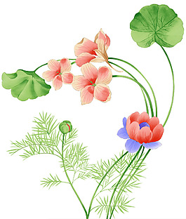 位圖 植物 花卉 優(yōu)雅植物 藝術(shù)效果 免費素材