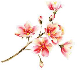 位圖 植物 花卉 優(yōu)雅植物 藝術(shù)效果 免費素材