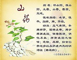 中藥圖片