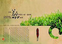 茶