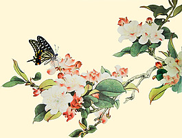 位圖 植物 花卉 優(yōu)雅植物 藝術(shù)效果 免費(fèi)素材