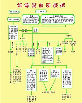 妊娠高血壓疾病流程圖片