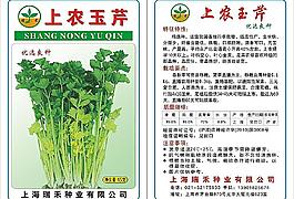 上海玉芹图片