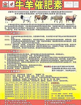 牛羊催肥素圖片