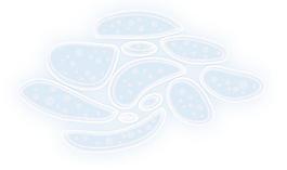 細(xì)胞圖片