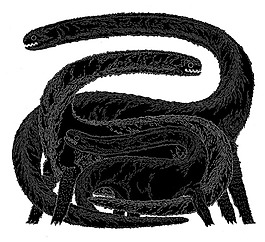 位圖 插畫 插畫師 Micah Lidberg 免費(fèi)素材