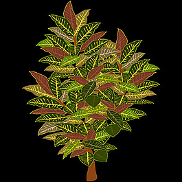tree-11