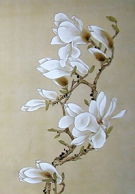 位圖 植物 花卉 優(yōu)雅植物 藝術(shù)效果 免費(fèi)素材