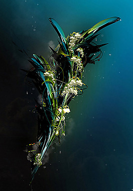 位图 植物插画 植物插画师 Maciej Mizer 免费素材