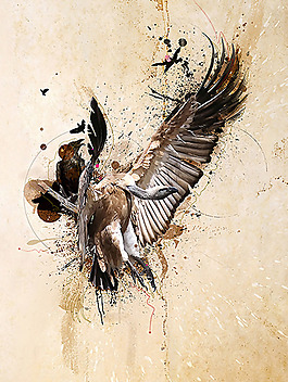 位图 插画 插画师 Maciej Mizer 免费素材