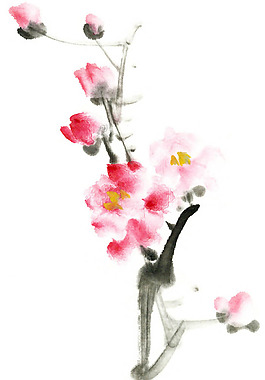 位圖 植物 花卉 優(yōu)雅植物 藝術效果 免費素材