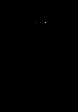 女科學(xué)家