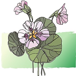 印花矢量圖 植物 花卉 優(yōu)雅植物 色彩 免費(fèi)素材