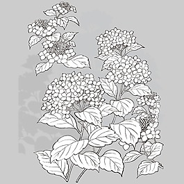 印花矢量圖 植物 花卉 優(yōu)雅植物 色彩 免費(fèi)素材