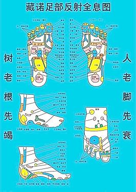 藏诺足部反射全息图图片