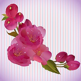 印花矢量圖 植物 花卉 優(yōu)雅植物 玫瑰花 免費素材