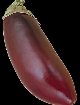 茄子圖片