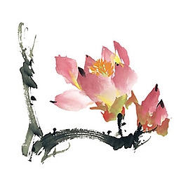位圖 植物 花卉 優(yōu)雅植物 藝術(shù)效果 免費素材