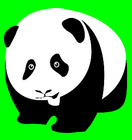 大熊貓