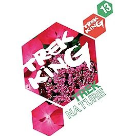 印花矢量圖 幾何 六角形 圖文結(jié)合 文字 免費(fèi)素材