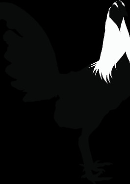 rooster_black