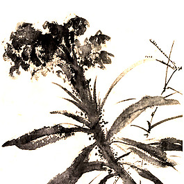 位圖 植物 花卉 優(yōu)雅植物 藝術(shù)效果 免費(fèi)素材
