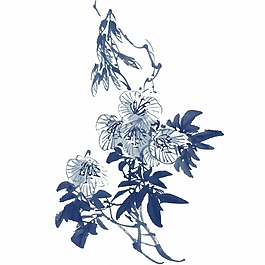 位圖 植物 花卉 優(yōu)雅植物 藝術(shù)效果 免費素材