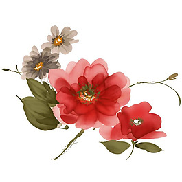 位圖 植物 花卉 優(yōu)雅植物 藝術(shù)效果 免費(fèi)素材