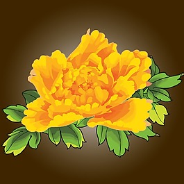印花矢量圖 植物 花卉 優(yōu)雅植物 牡丹花 免費(fèi)素材