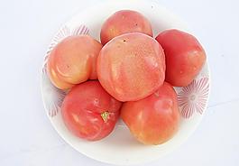 蕃茄圖片