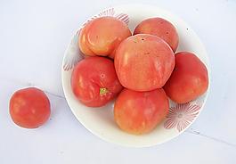 西紅柿圖片
