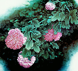 位圖 植物 花卉 優(yōu)雅植物 藝術(shù)效果 免費(fèi)素材