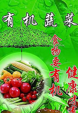有機(jī)蔬菜圖片