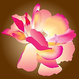 印花矢量圖 植物 花卉 優(yōu)雅植物 色彩 免費(fèi)素材
