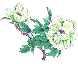 位圖 植物 花卉 優(yōu)雅植物 藝術(shù)效果 免費(fèi)素材