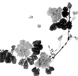 位圖 植物 花卉 優(yōu)雅植物 藝術(shù)效果 免費(fèi)素材