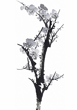 位圖 植物 花卉 優(yōu)雅植物 梅花 免費(fèi)素材