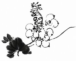 位图 植物 花卉 优雅植物 免费素材