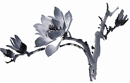 位图 植物 花卉 优雅植物 免费素材
