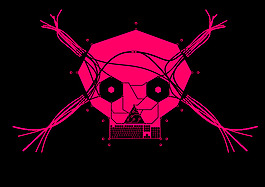 digitalskull