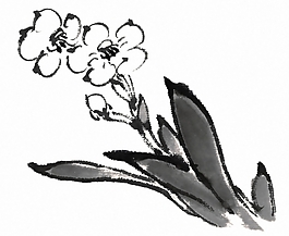 位圖 植物 花卉 優(yōu)雅植物 藝術(shù)效果 免費(fèi)素材