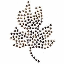 燙鉆 植物 葉子 樹葉 免費(fèi)素材