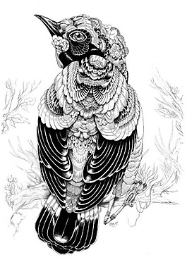 位圖 動(dòng)物 鳥類 插畫 插畫師 免費(fèi)素材