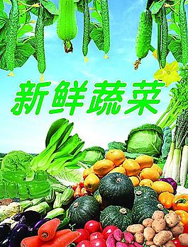 蔬菜图片