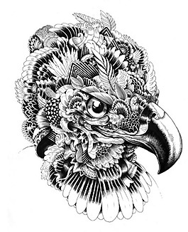 位图 动物 鸟类 老鹰 插画 免费素材