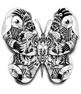 位圖 動(dòng)物 昆蟲(chóng) 蝴蝶 插畫(huà) 免費(fèi)素材