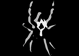 kreuzspinne